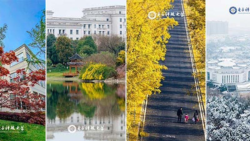 X2电容Y1电容：揭秘电容在电子元器件中的关键角色