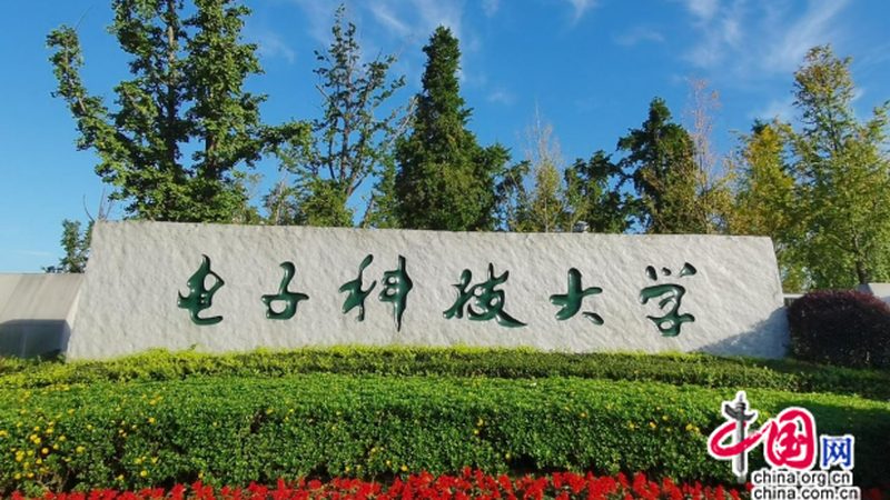 电子元器件代理加盟：揭秘行业加盟品牌排行榜背后的逻辑